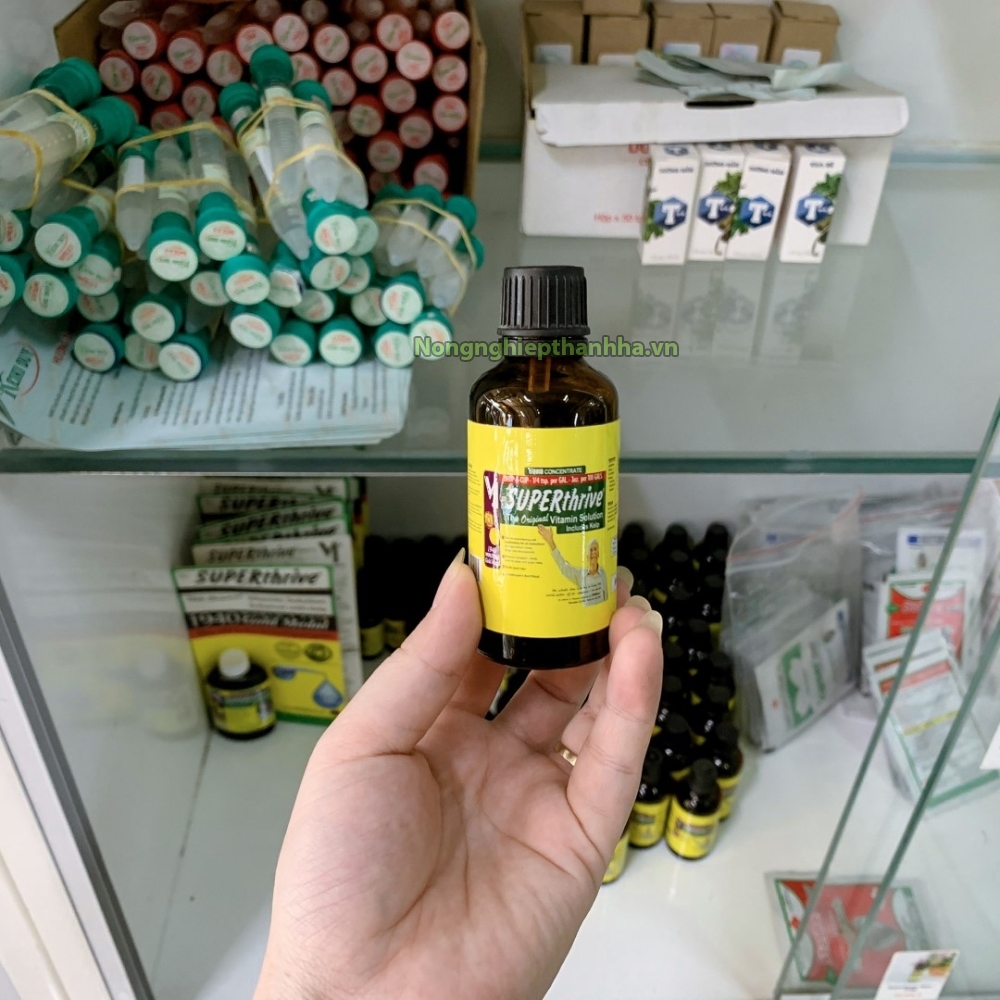 Hormon tăng trưởng cho lan Superthrive 50ml