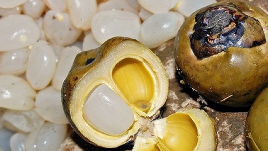 [Hộp 560g] HẠT ĐÁC ĐƯỜNG PHÈN [VN] FARMER Arenga Pinnata