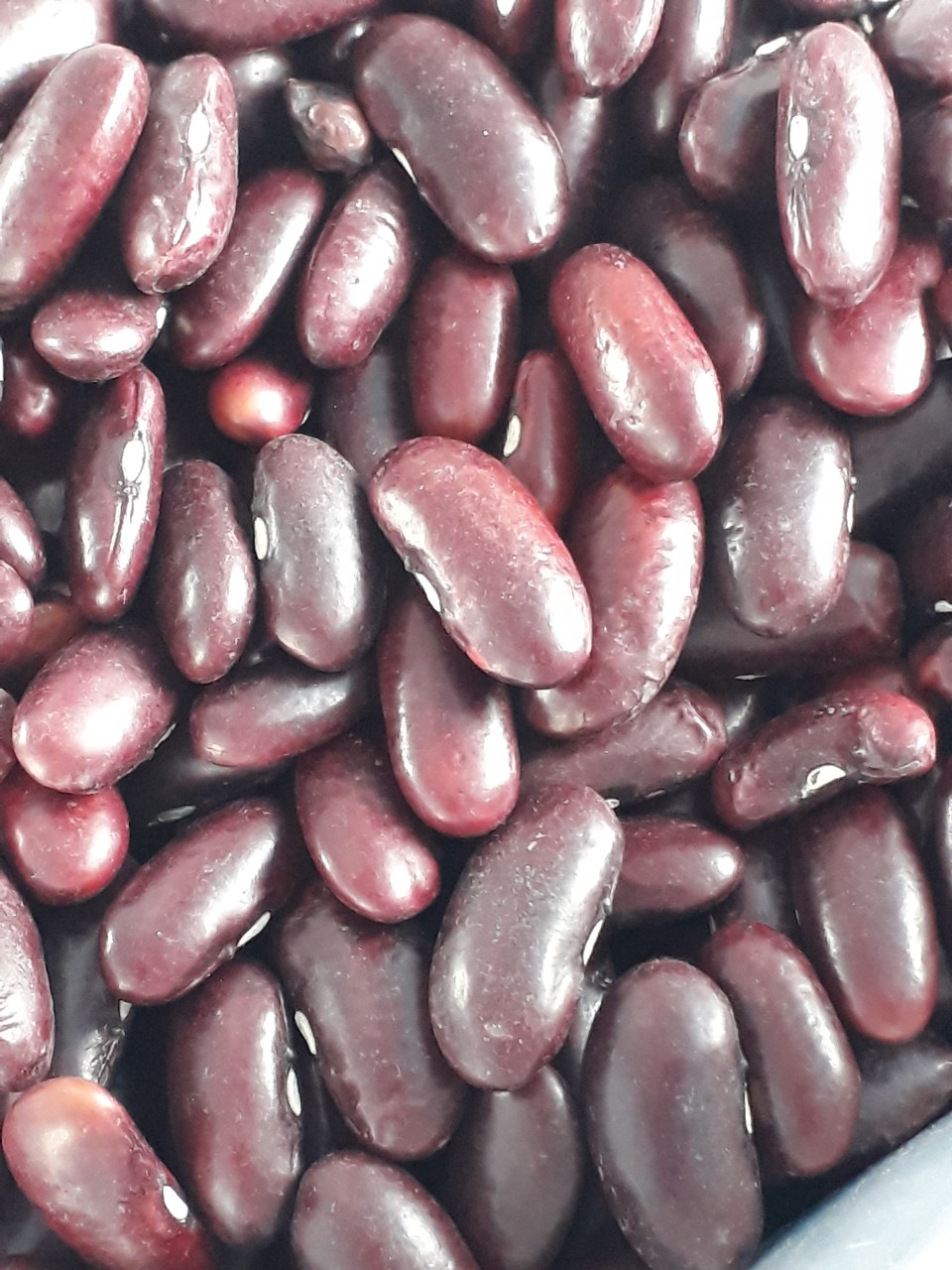Đậu đỏ hạt to, 500g