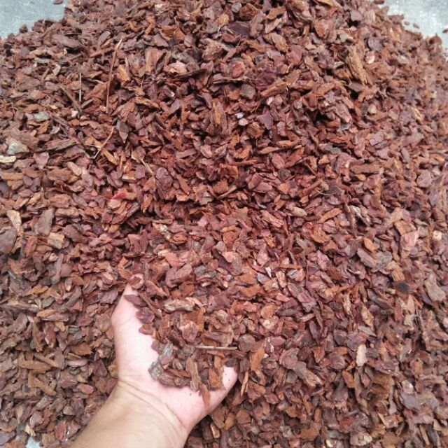 1kg vỏ thông trồng lan đã qua xử lý - size nhỏ
