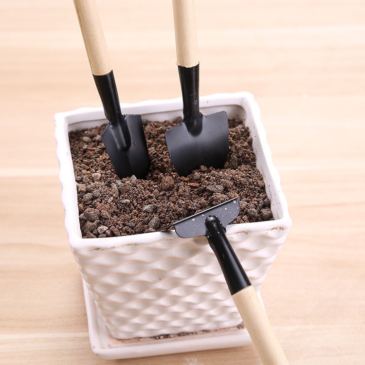 Bộ Xẻng Cào Mini trồng cây cảnh 3 Món (21cm)