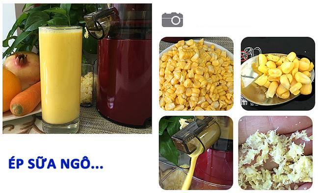 máy ép chậm hoa quả SAVTM cao cấp
