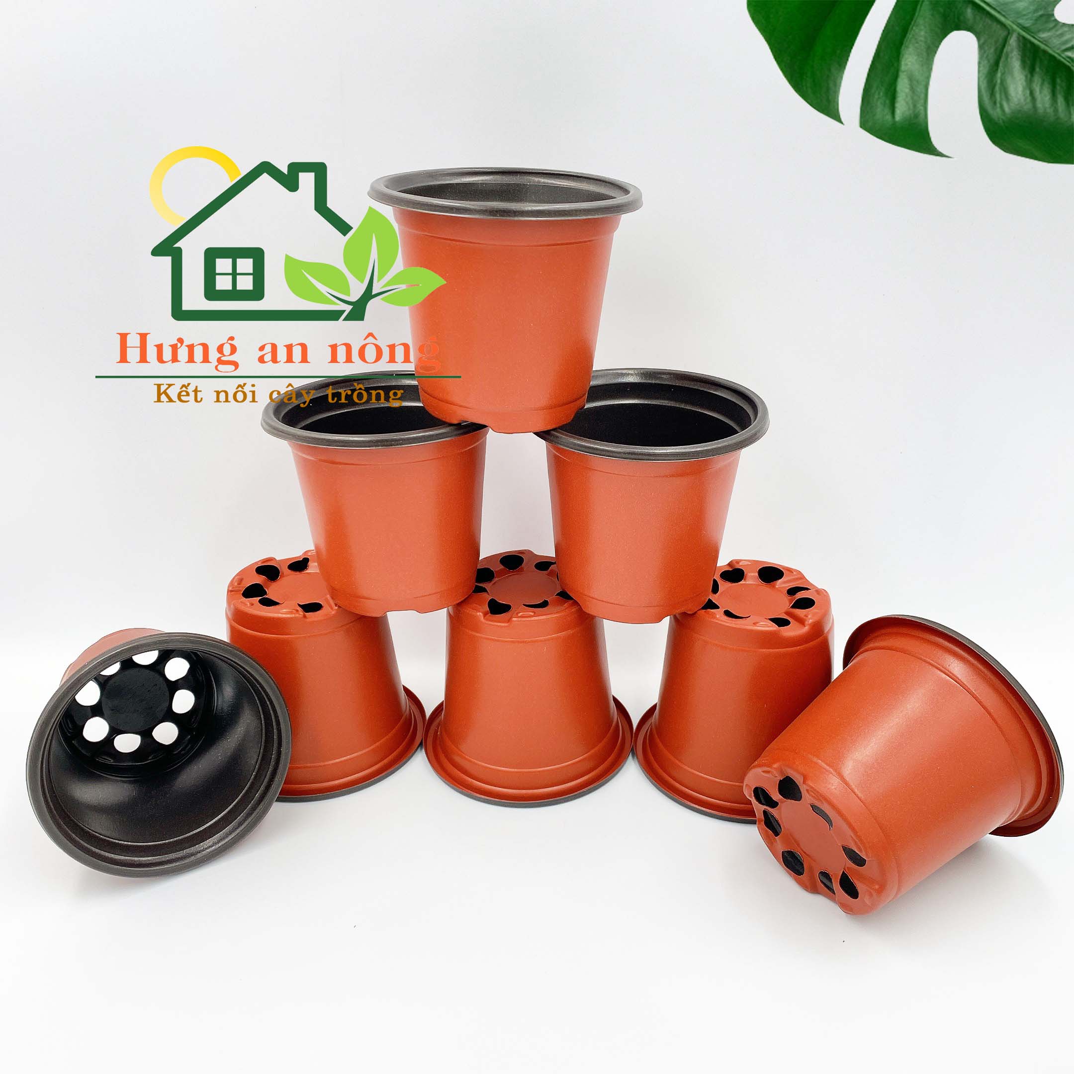 CNTL1 - Sét 50/100 cái chậu nâu tròn ươm trồng cây giống nhựa PP size 9x8cm