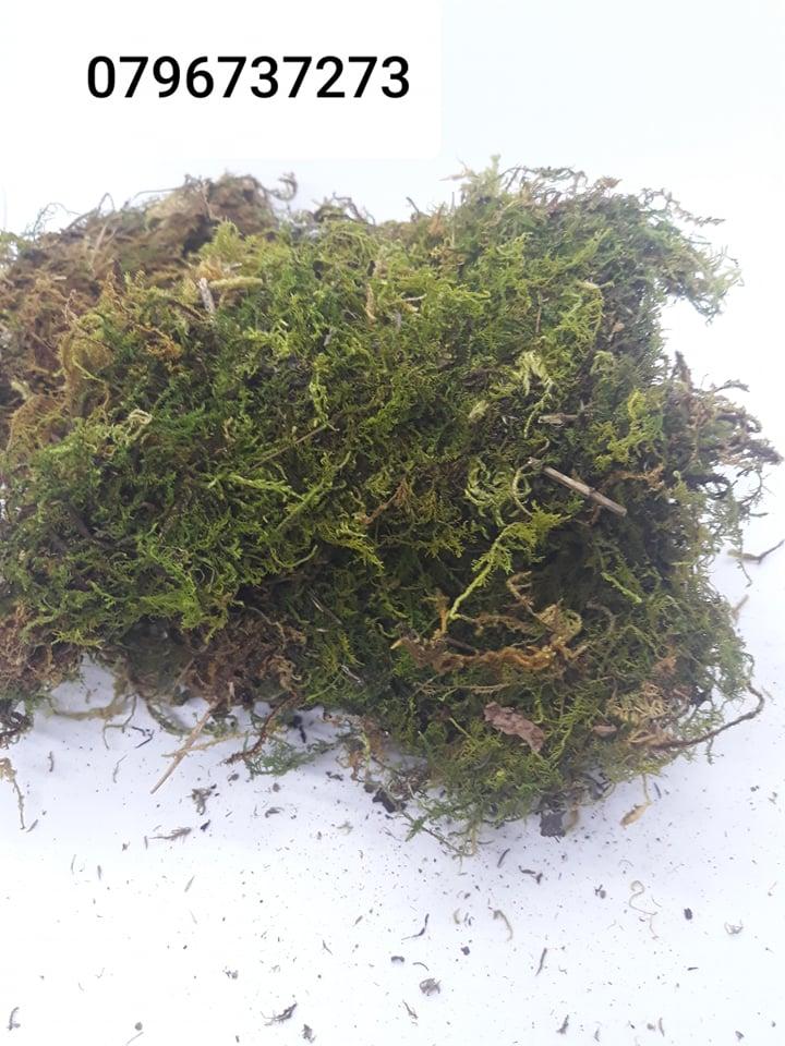 1kg Dớn vụn trồng lan