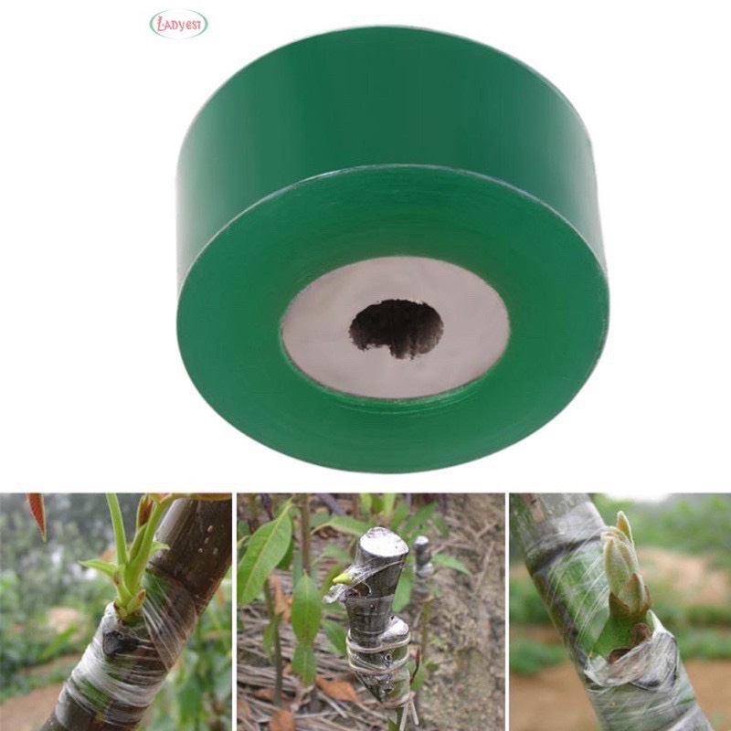 CUỘN NILON XANH GHÉP CÂY 5 CM
