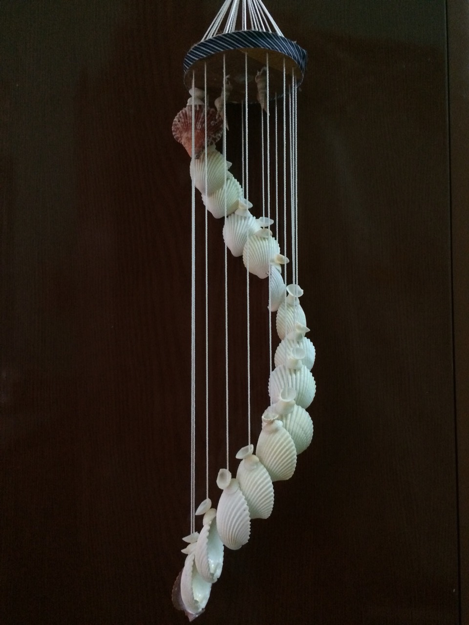 CHUÔNG GIÓ SÒ ỐC BIỂN