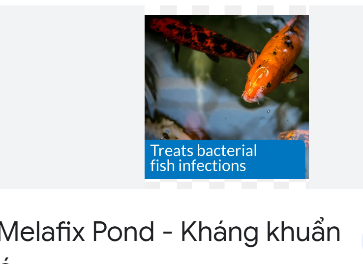 API melafix hàng Pond cham sóc cá cảnh và pimafix hang pond chiết lẽ