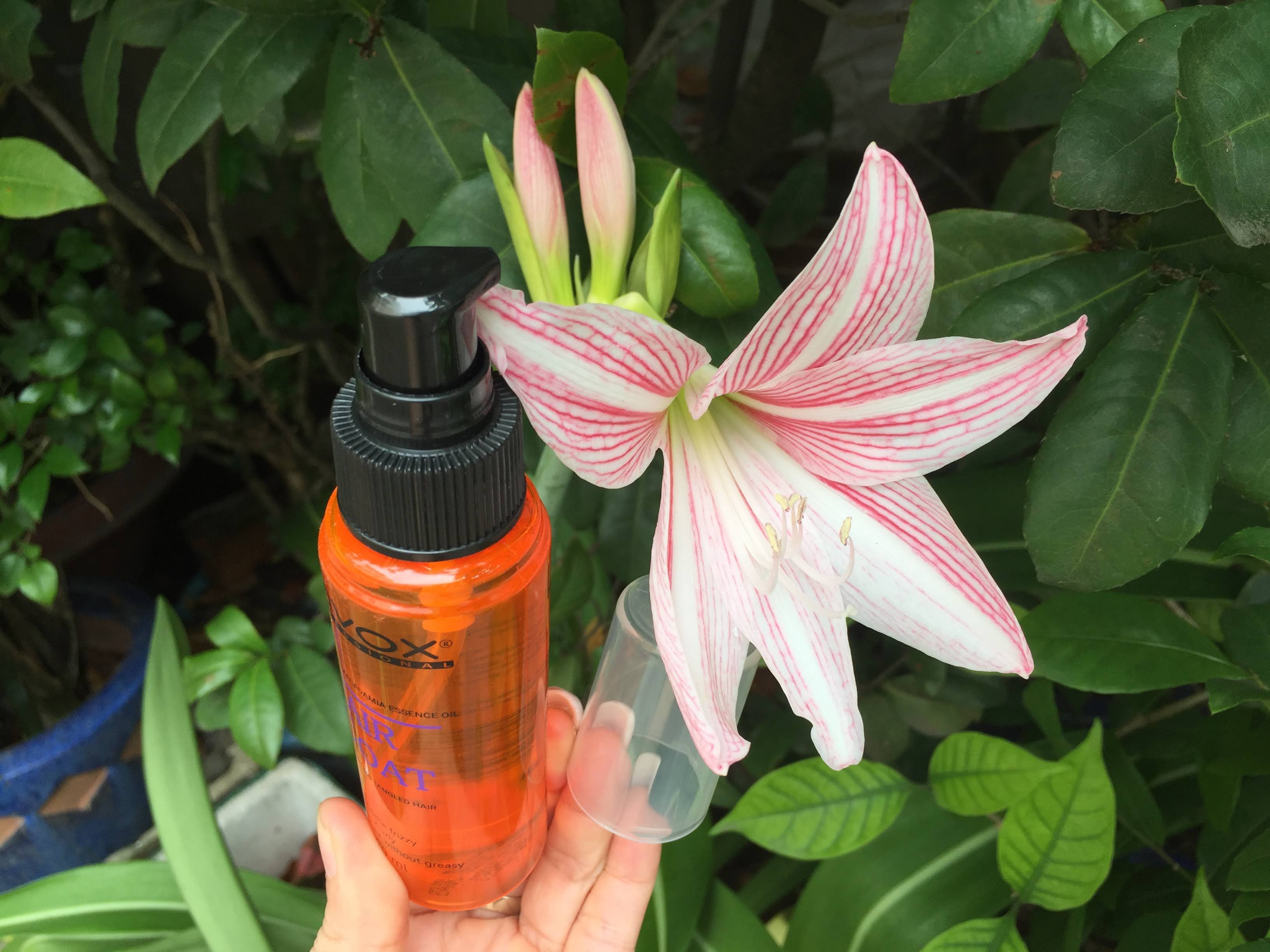 Chai xịt Dầu bóng tóc Lavox 80 ml