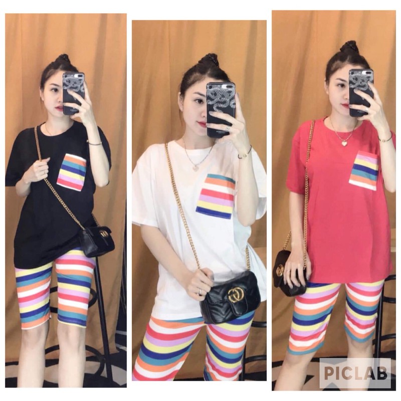 [HCM]SET BỘ COTTON CẦU VÒNG - TD40