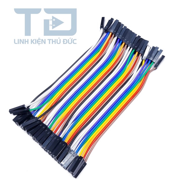 Dây Bẹ Cái-Cái 40 Sợi Dài 20cm