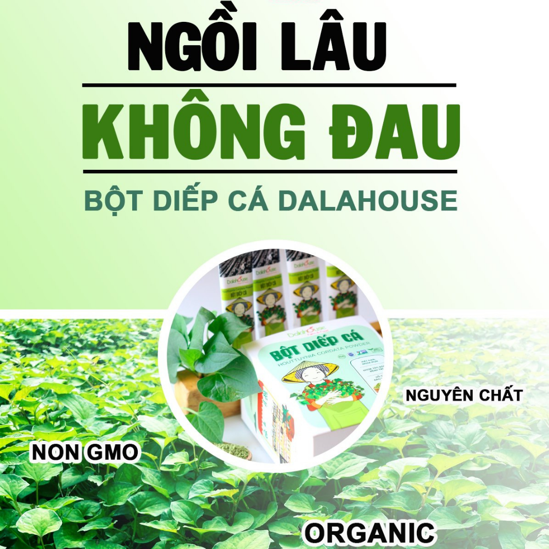 Bột Diếp Cá Nguyên Chất Dalahouse 60g (20 gói * 3g)