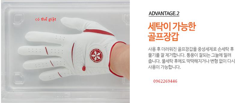 găng tay kenichi golf glove 골프장갑