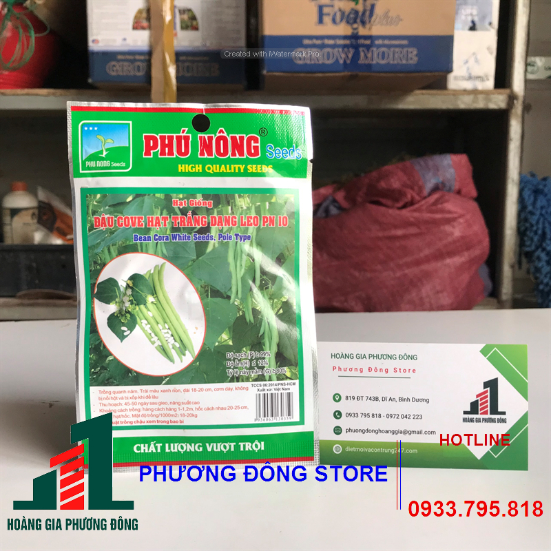 Hạt giống đậu Cove hạt trắng dạng leo-10g