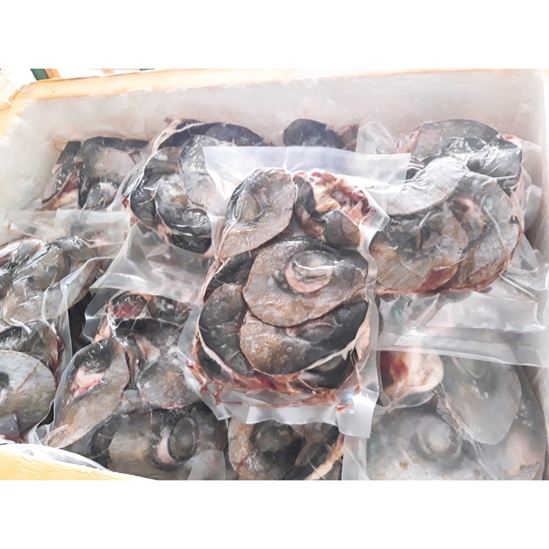Mắt cá ngừ đại dương-Đèn pha đại dương 1kg (giao tphcm)