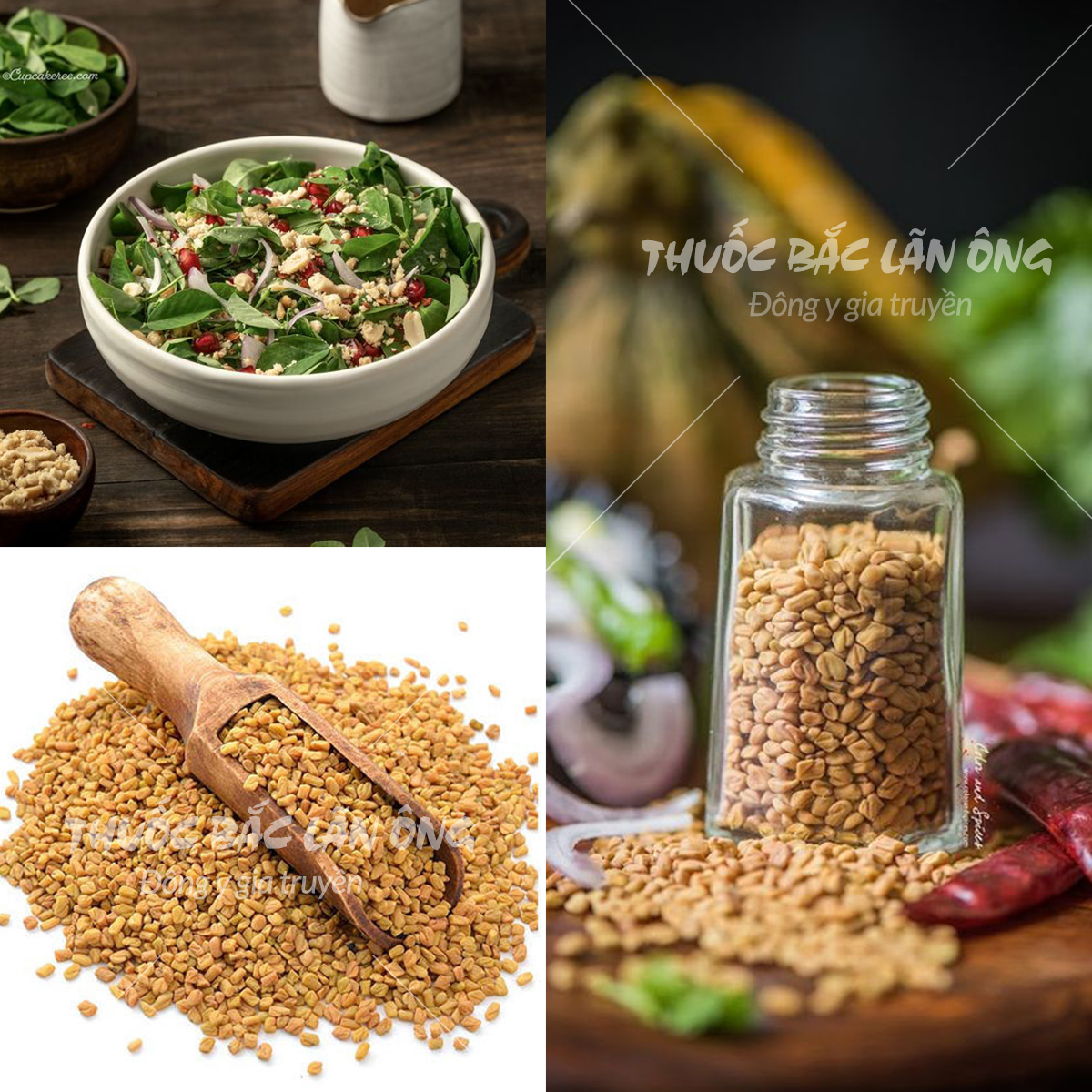Hạt methi Ấn Độ nguyên liệu nấu cari (Fenugreek seed)
