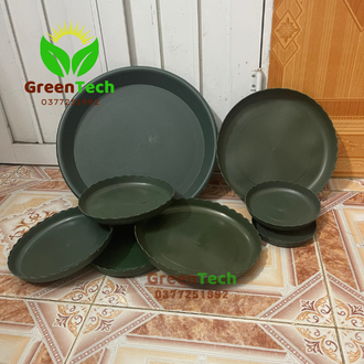 Ảnh Thật - Đĩa Chậu Monrovia Nhập Khẩu