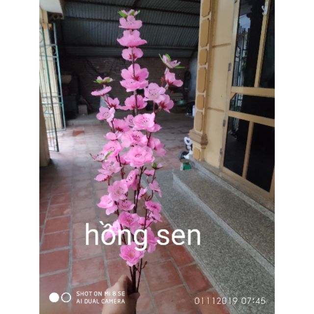 Sỉ 10 cành đào giả