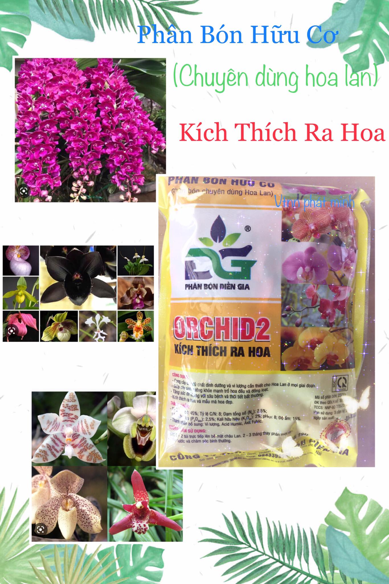 Phân hữu cơ sinh học chuyên dùng cho hoa lan, kích cho ra hoa