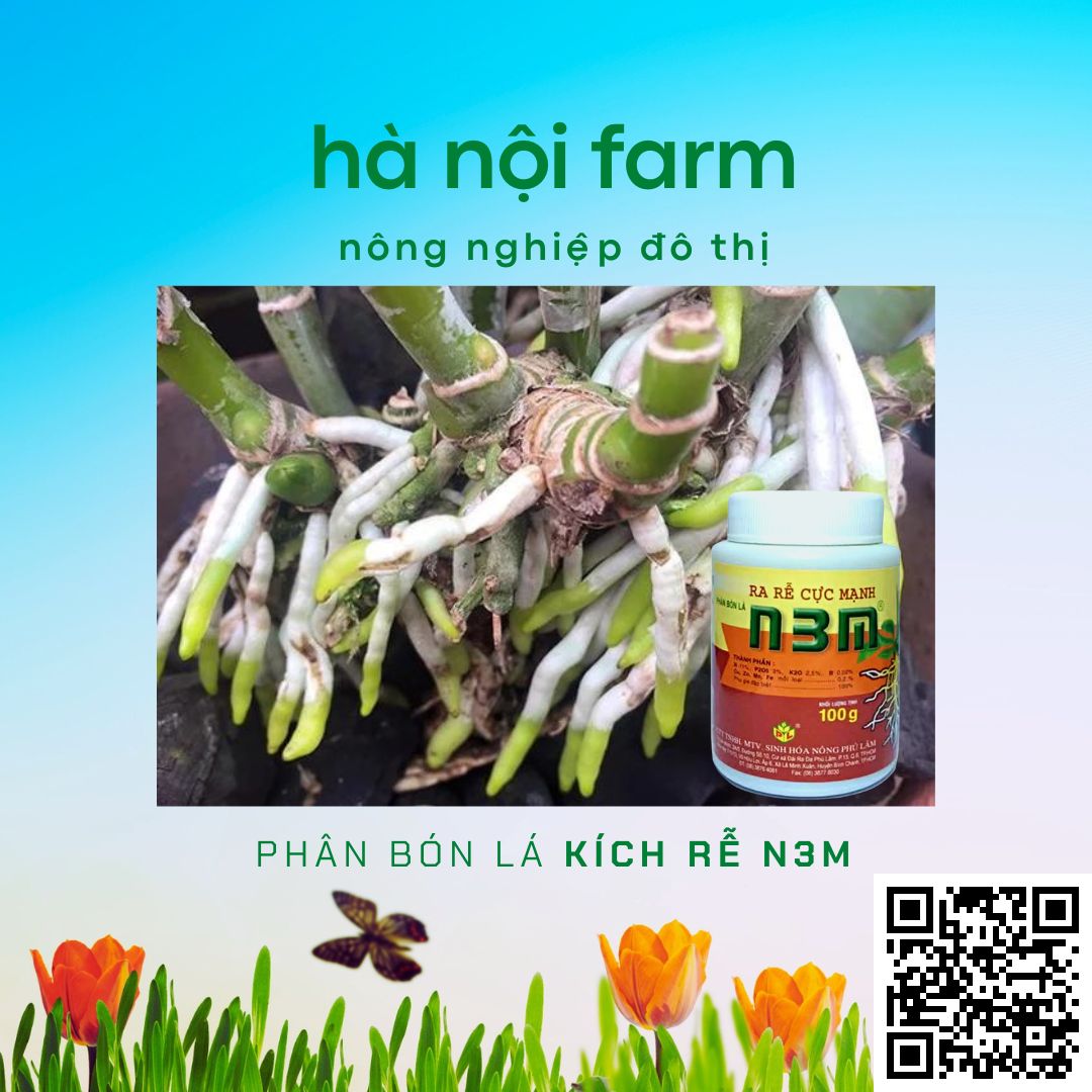 N3M kích ra rễ, N3M bột 100g
