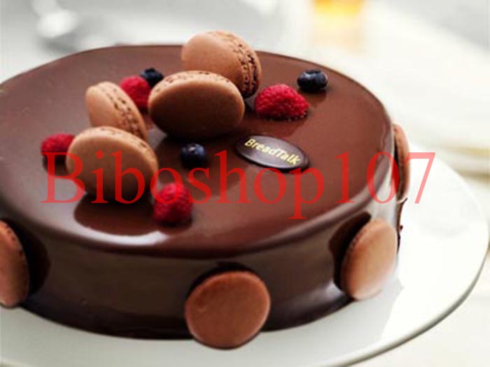 Socola Đen Grand Place 110g (Dark Chocolate)