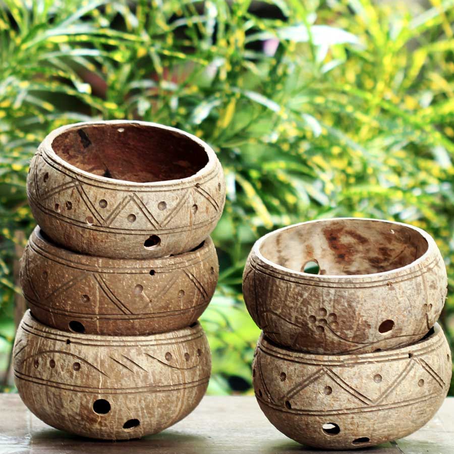 5 GÁO DỪA TRỒNG CÂY CẢNH Coconut planter set set of 5