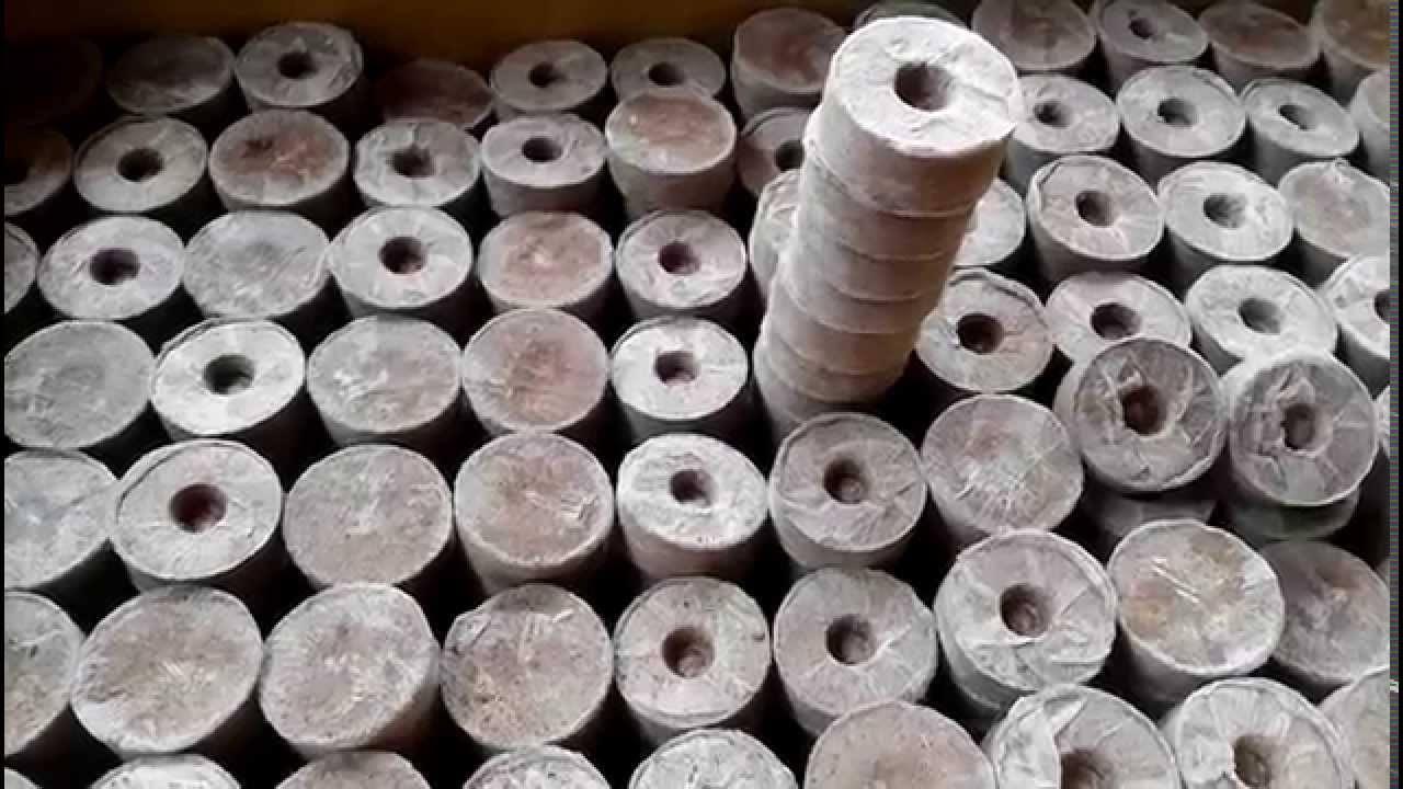 Bộ 50 viên nén ươm hạt - viên nén xơ dừa ươm hạt