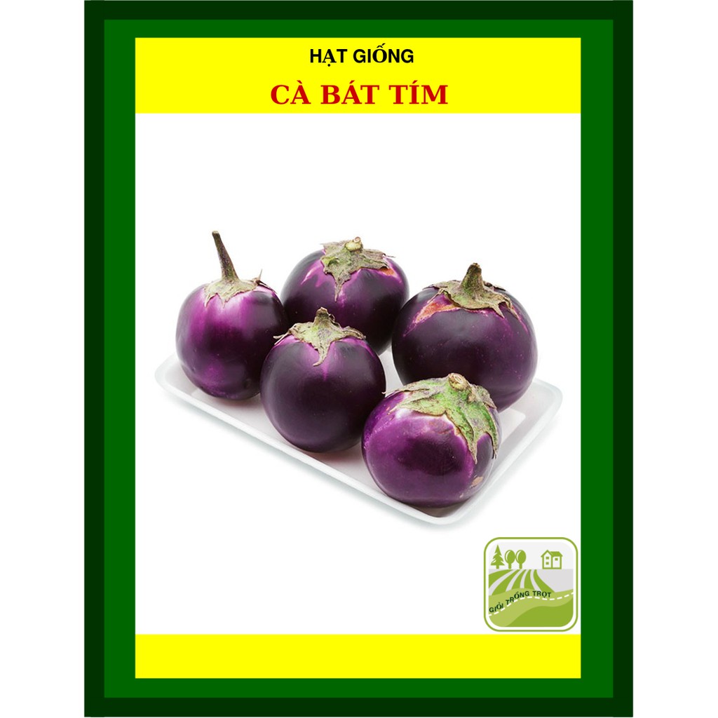 1G - Hạt Giống Cà Bát Tím