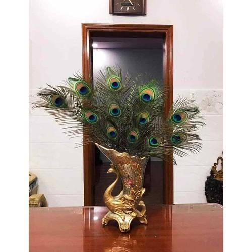 50 Lông công phong thủy