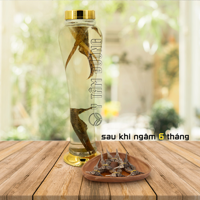 Cá ngựa chúa, Hải Mã khô loại thượng phẩm size từ 16cm đến 22cm