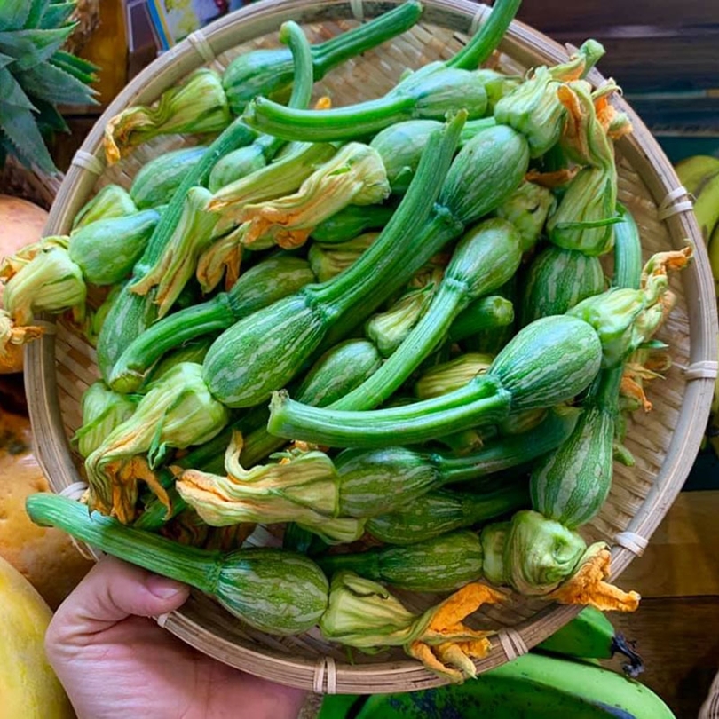 Hạt Giống Bí Siêu Nụ - Bí Ăn Nụ