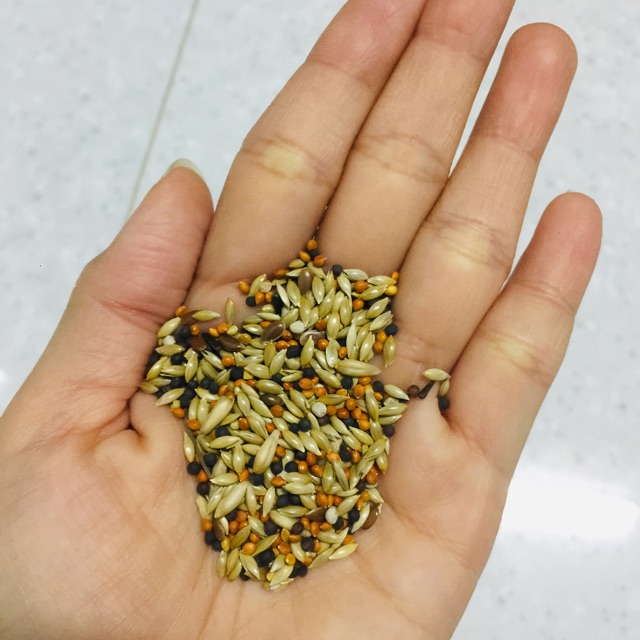 hạt trộn thức ăn cho yến hót 1kg