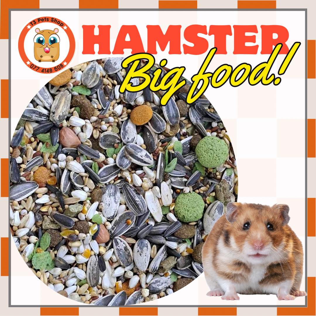 thức ăn ngũ cốc hạt (Normal, Yummy, Big) dành cho mọi loại hamster - T3 PETS SHOP