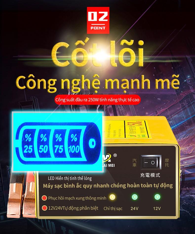 Ắc quy sạc tự động xung đồng 12V 24V