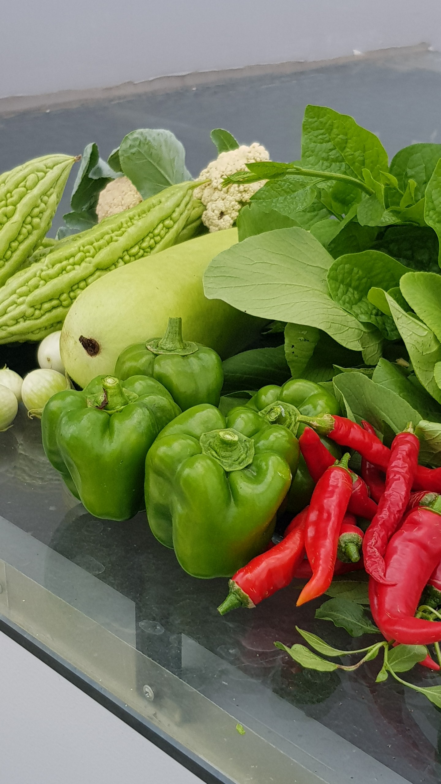 Phân Mùn mía Sfarm gói 2kg hoàn toàn tự nhiên tốt cho cây trồng