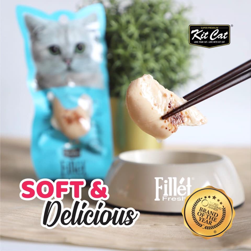 KITCAT FILLET PHI LÊ THỊT CHO MÈO