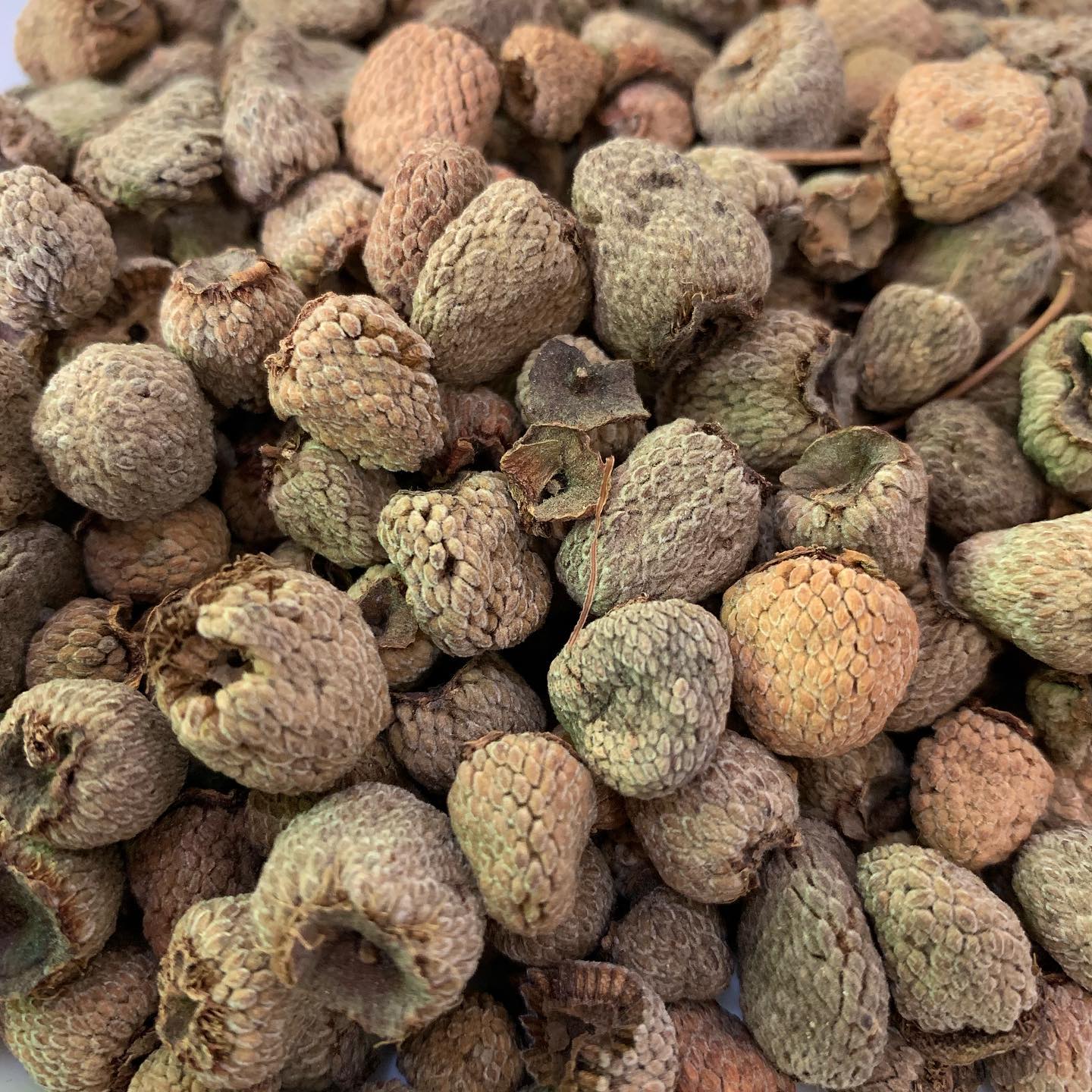 [HCM]PHÚC BỒN TỬ 100GRAM