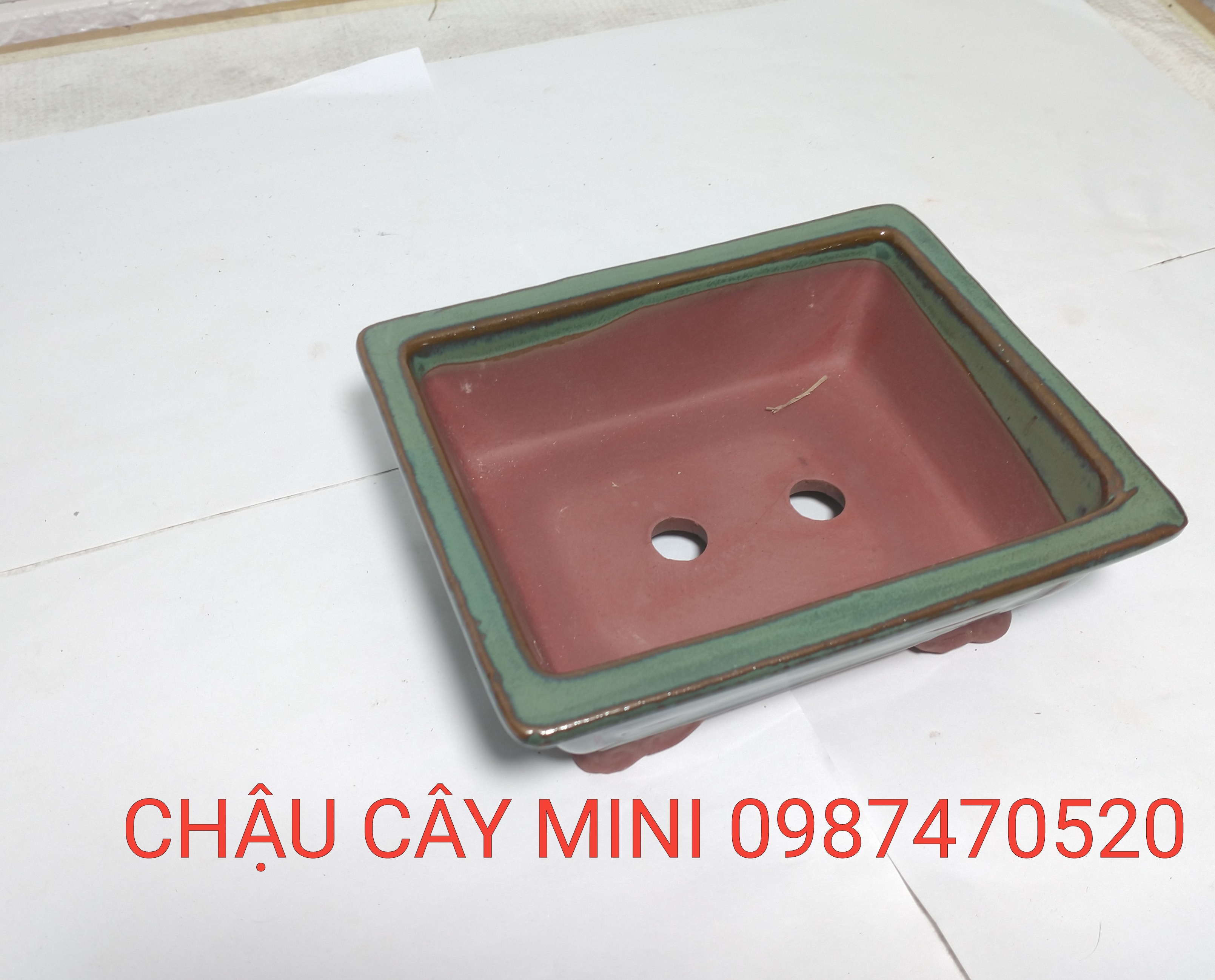Chậu bonsai mini chữ nhật N3,chậu cây mini