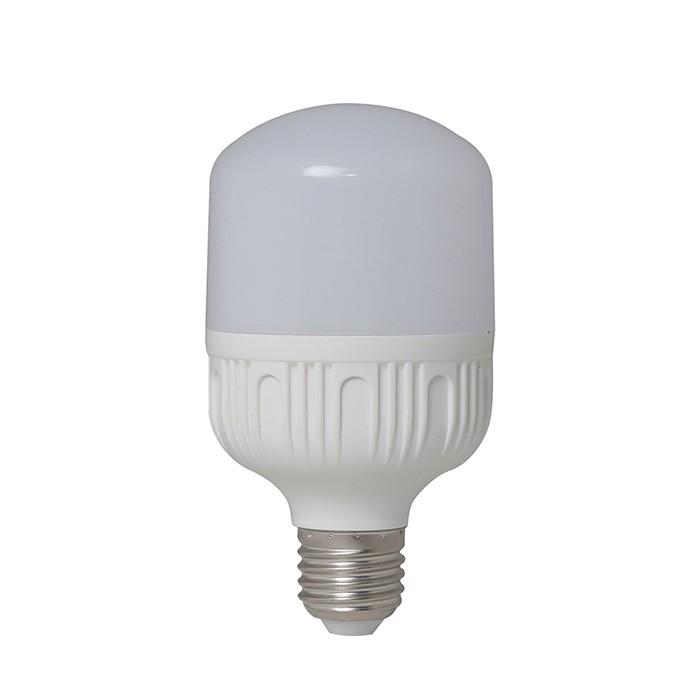 Bóng đèn 12V - 24V LED 7W / 9W / 12W / 30W Rạng Đông có kẹp, chipled Samsung
