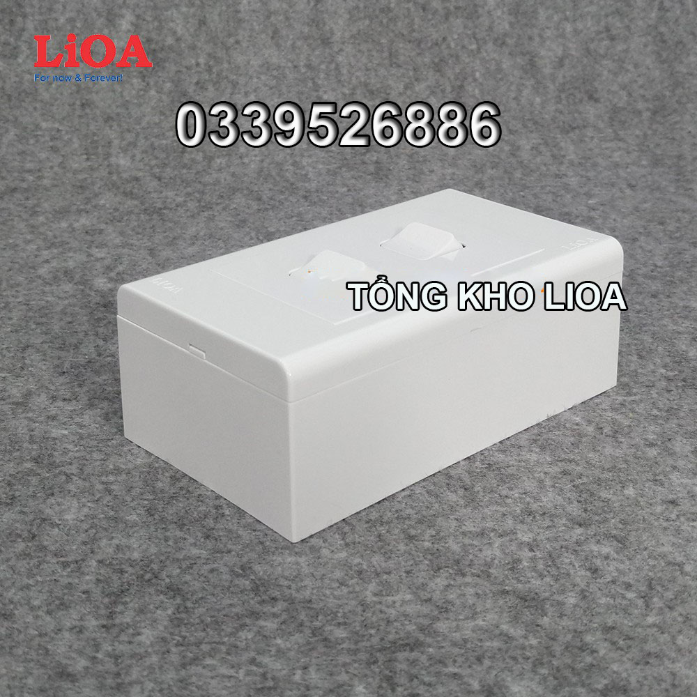 Combo 2 công tắc điện 1 chiều + mặt lỗ vuông LiOA - Lắp nổi