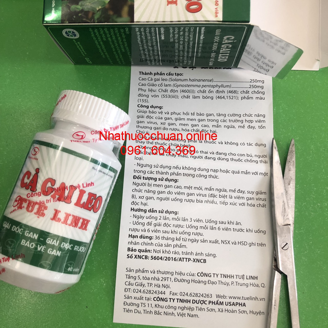 Cà gai leo Tuệ Linh ( Hộp 60 viên)