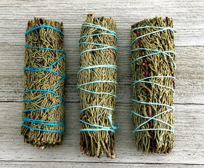 Juniper - Cây Bách Xù - Thảo Mộc Xông Nhà