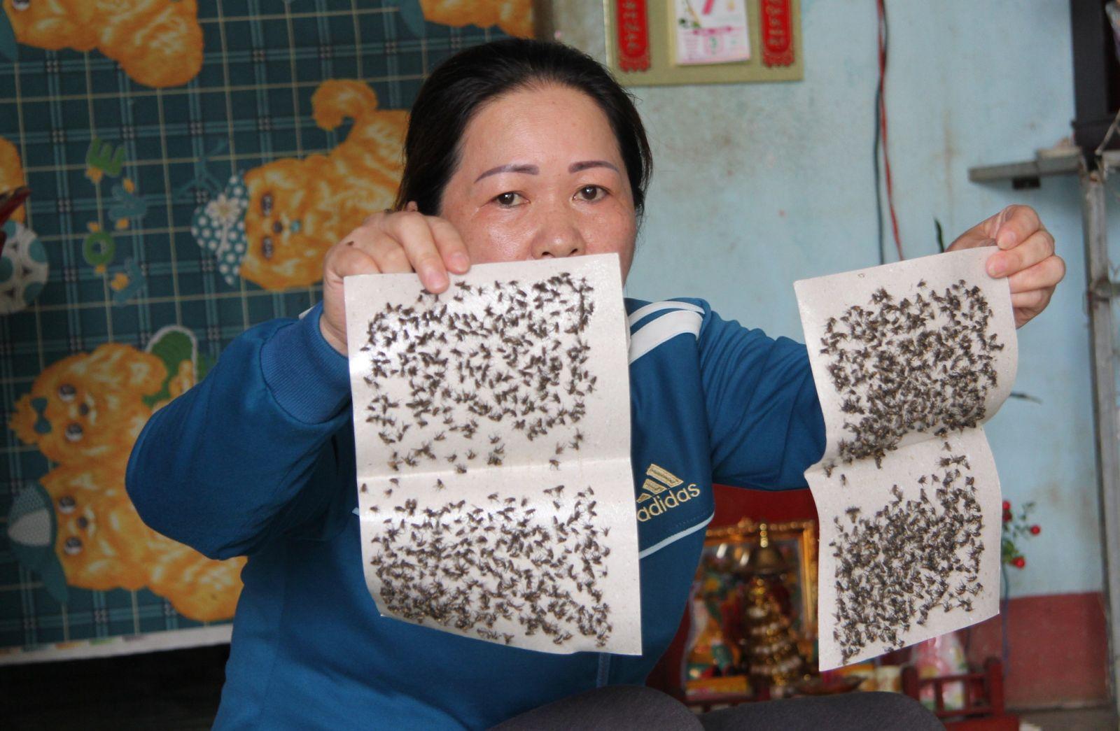 100 tấm keo dính bẫy ruồi