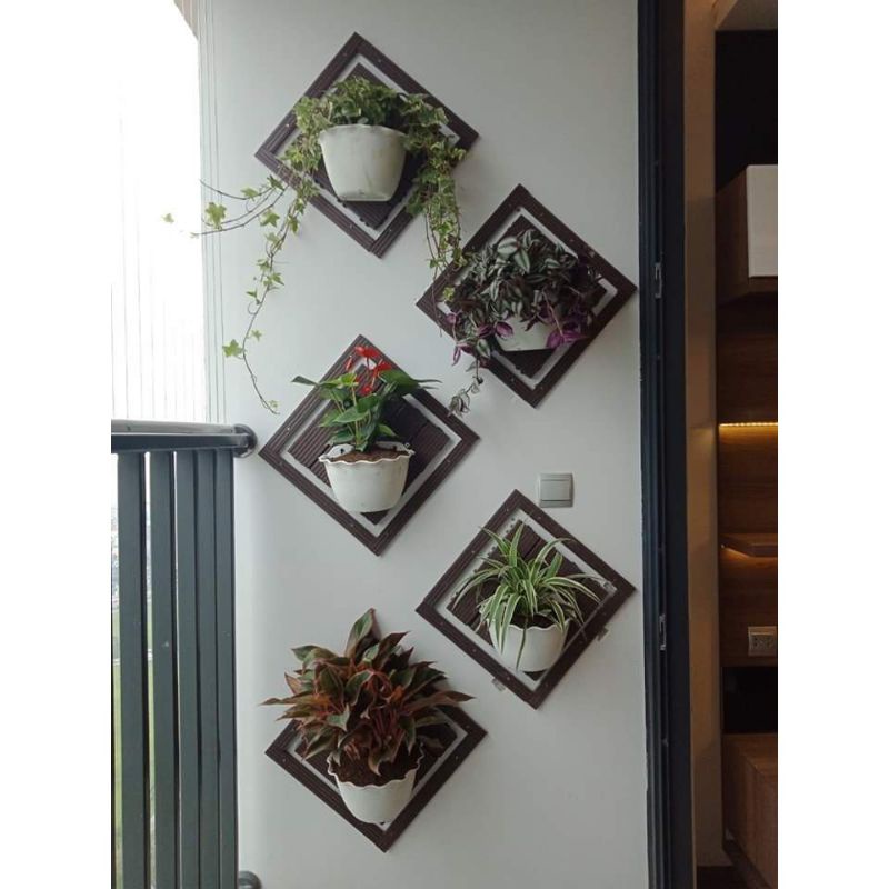 Combo 10 chậu ốp tường mầu trắng