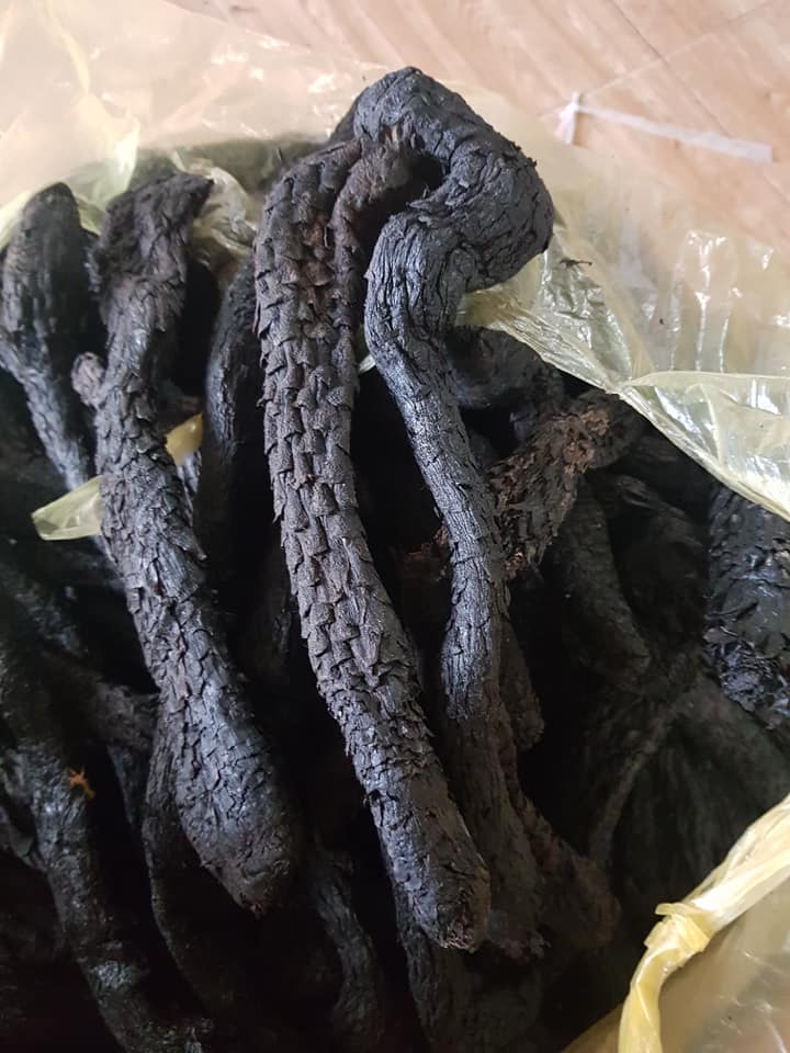 200gr Nhục Thung Dung Hàng đẹp