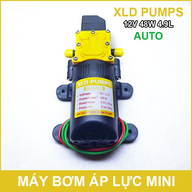 Máy bơm mini 12V 48W 4.9L