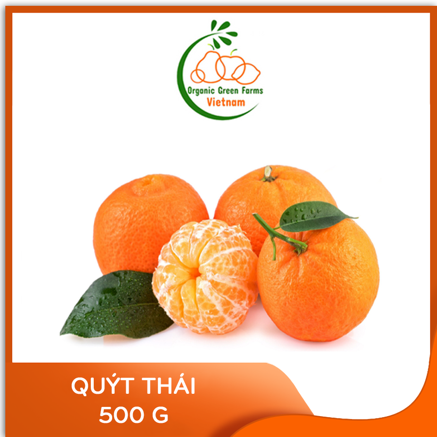 [OGF] - Quýt thái (500g) - Giao nhanh HCM