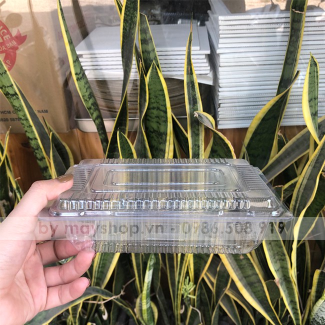 10 Hộp nhựa đựng bánh C55
