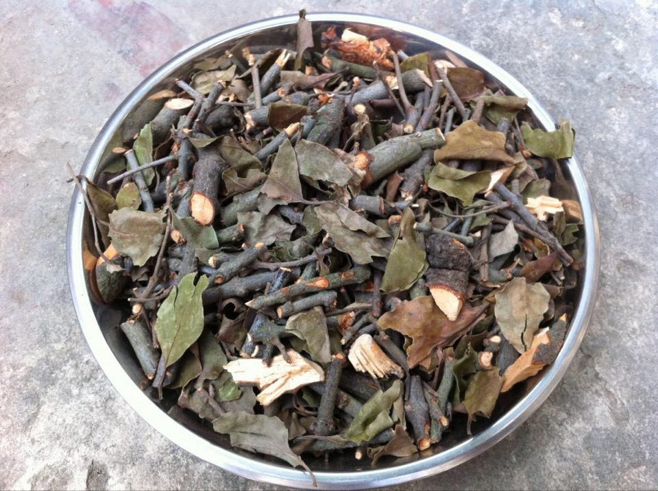 Cây tầm gửi gạo khô 1kg