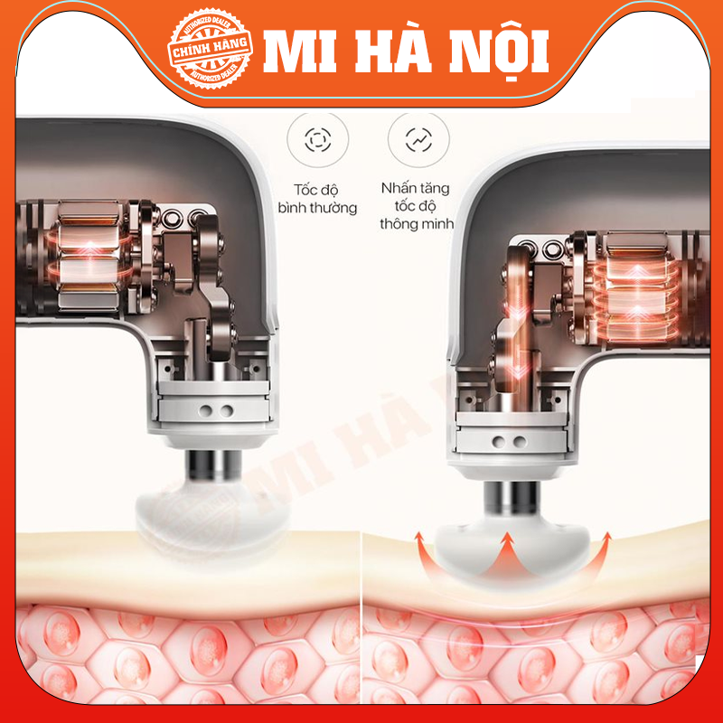 Máy massage cầm tay mini Momoda SX301