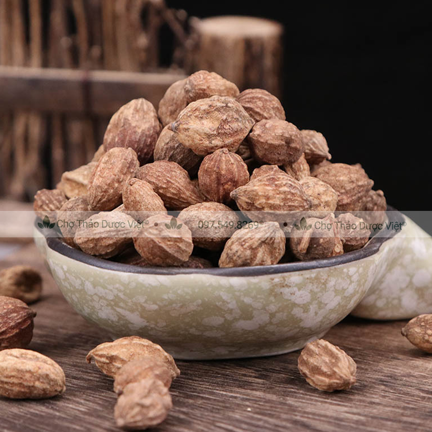 Ích trí nhân khô 1kg, hạt to, sạch, thơm, hỗ trợ bổ thận, giảm tiểu đêm, tốt cho đường tiết niệu